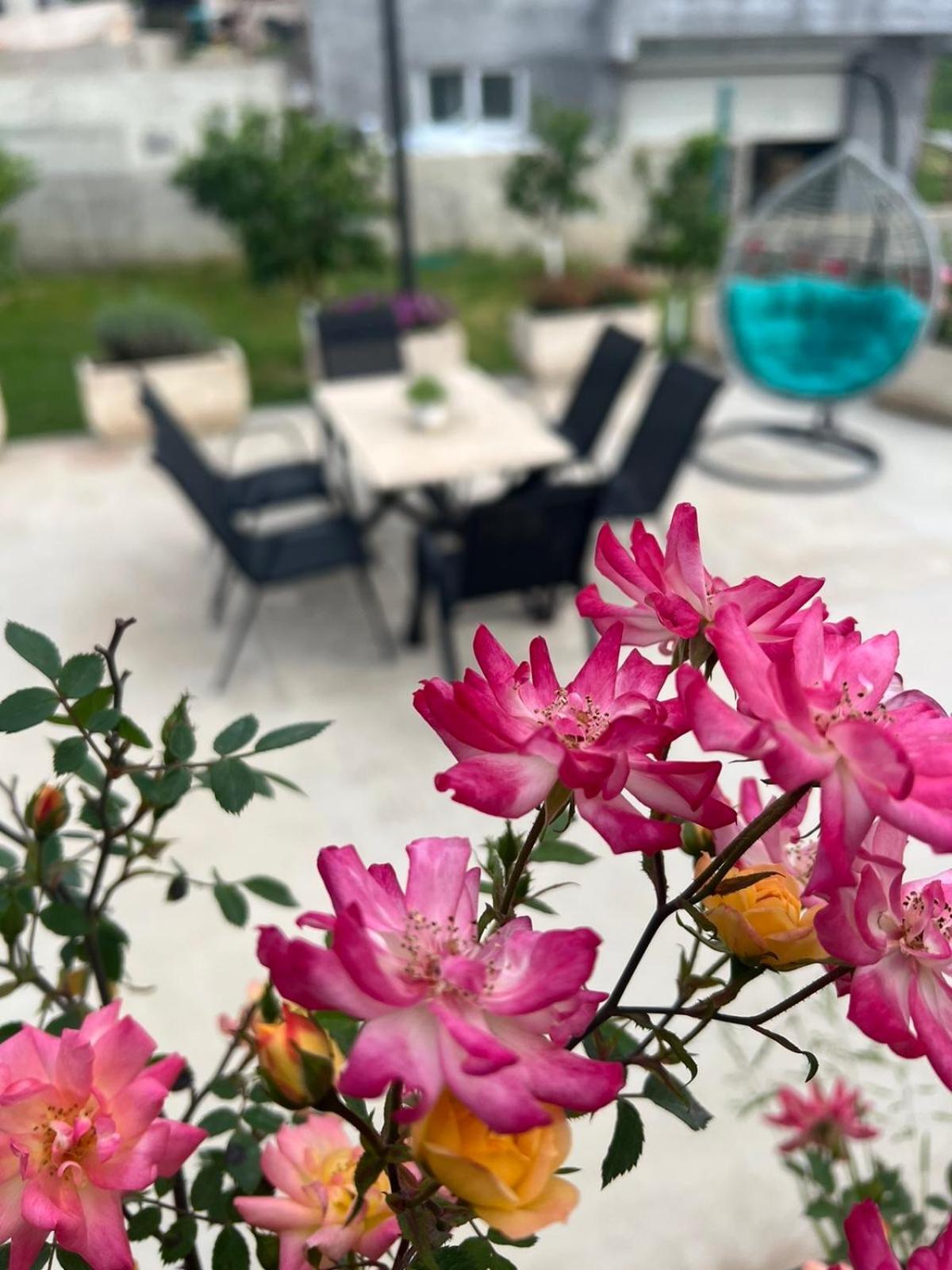 Sunny Hill - Parking - Fenced Garden - Luxury Loft Apartman Kotor Kültér fotó